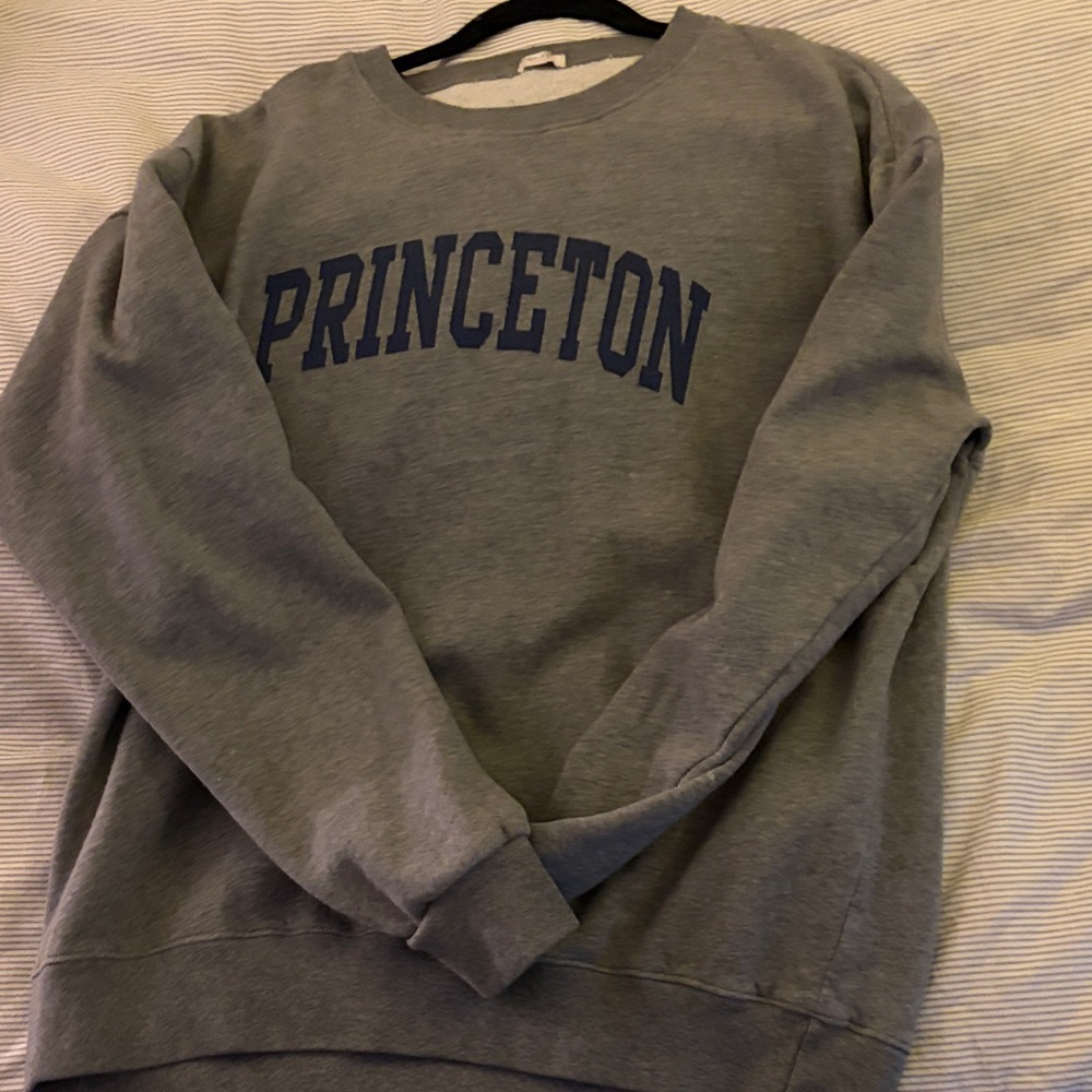 Gray Princeton Men's Sweater